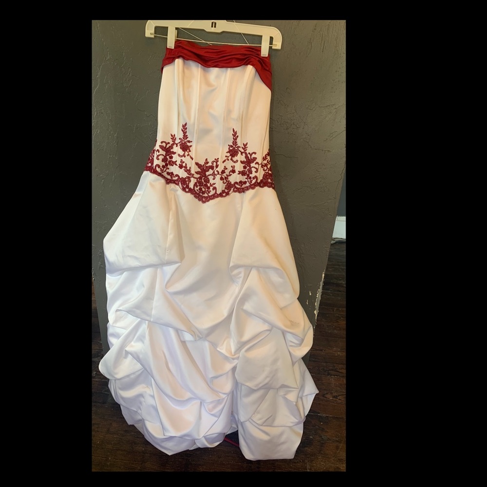 David’s Bridal Wedding Dress (2011)